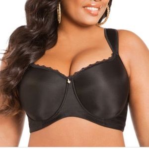 Ashley Stewart Butterfly Bra Bundle New
